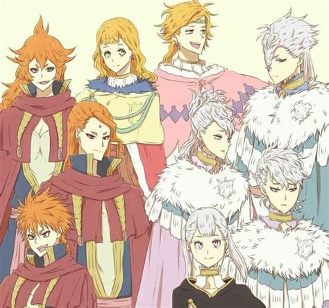 vermillion family black clover|black clover noelle cousin.